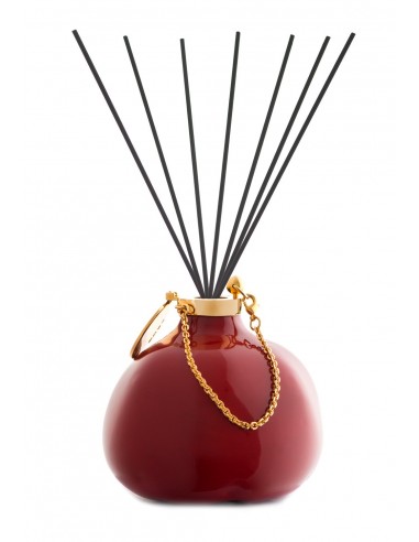 Fashion Room Fragrance - Red with fiber sticks by Maya Design Italy 1