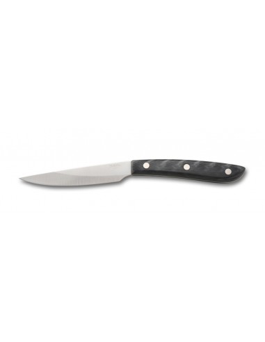 Steak Knife Sliced - Resin n.20