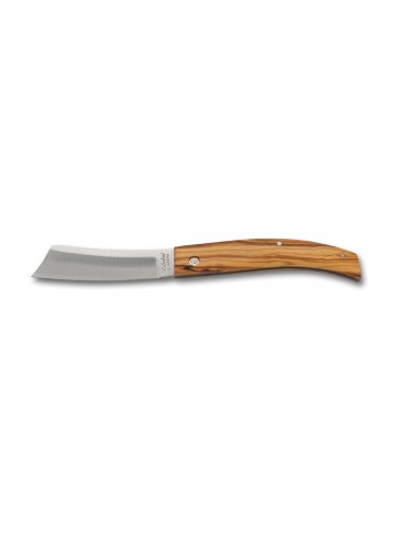 “Rosolino” Knife olive wood handle by Saladini Scarperia Florence Italy